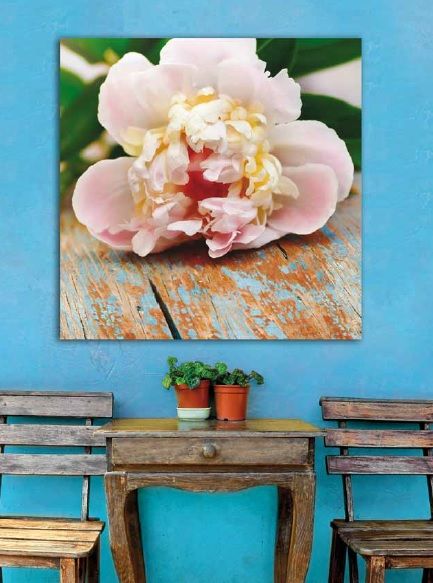lienzos con flores