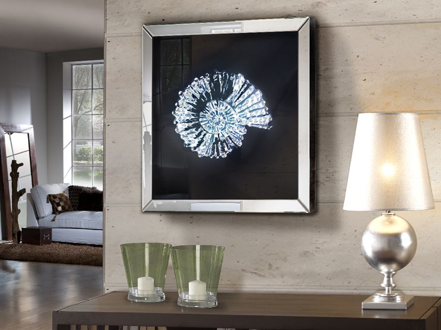 cuadro fosil de schuller