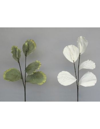 Vara Hoja Lotus Blanca