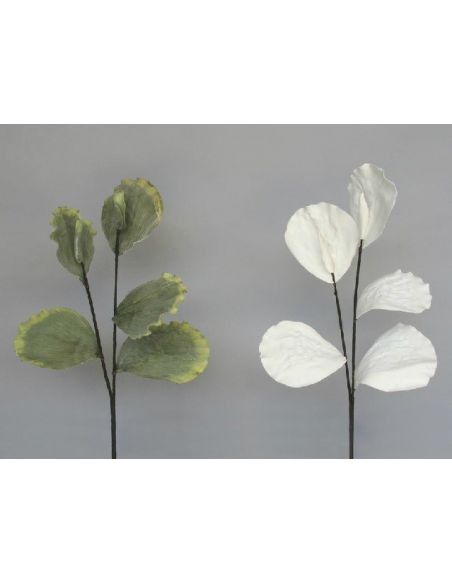 Vara Hoja Lotus Blanca