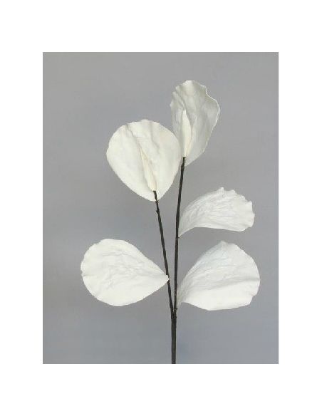 Vara Hoja Lotus Blanca