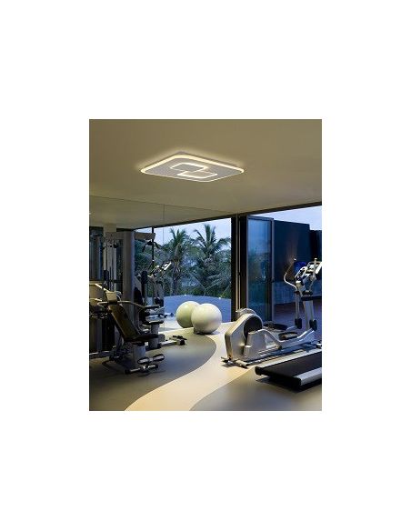 Comprar Plafón Quad