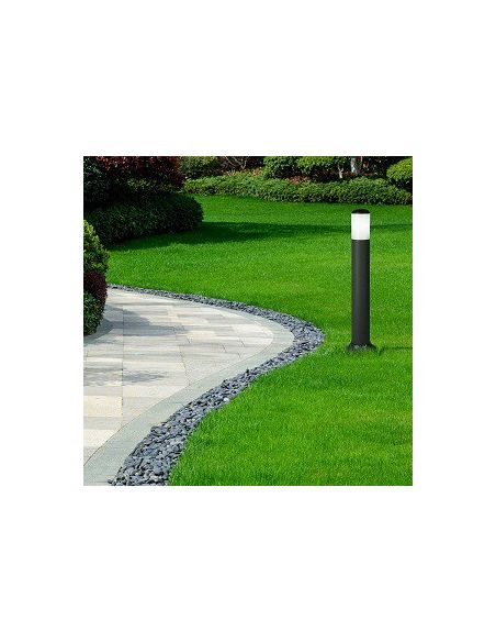 Oferta Baliza Azafrán