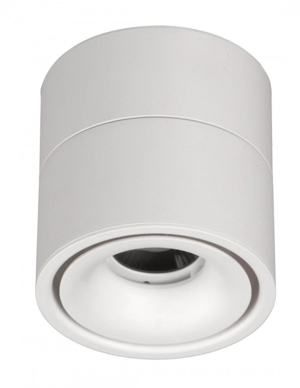 Plafón superficie orientable para GU10