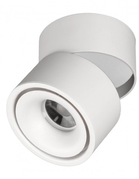 Foco de superficie blanco basculante y orientable