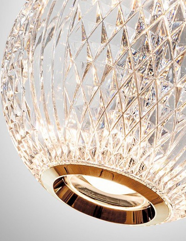 tulipa lampara austral