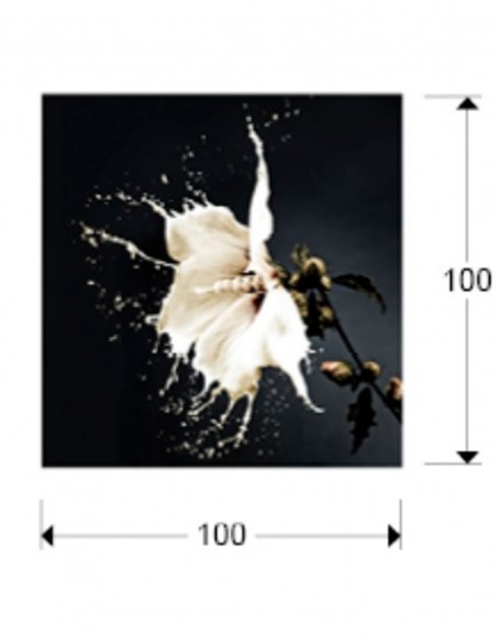 Splash Fotografía Schuller