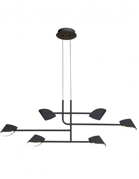 Capuchina Lámpara Negra Mantra