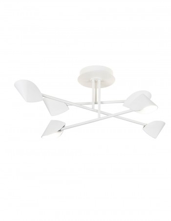 Capuchina Plafón Blanco 6...
