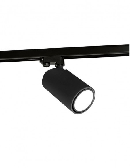 foco carril sal negro