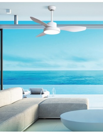 Ventilador de Techo Hayate