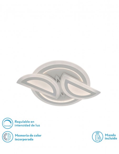 plafón de techo alenha