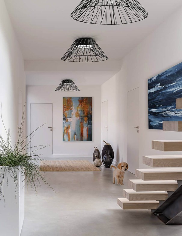 Plafones de techo con cuerda