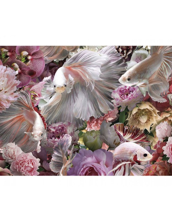 Cuadro Peces multitud de colores