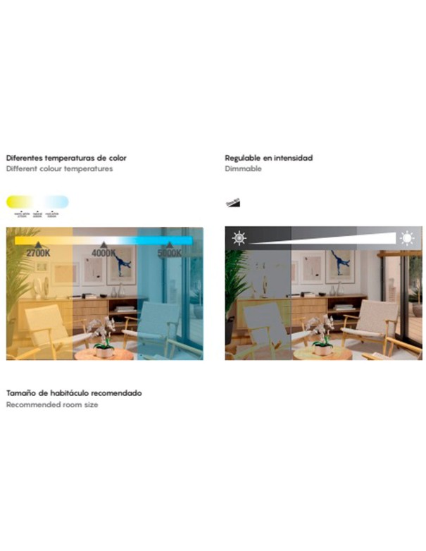 Oferta Coin Mantra Ventilador de Techo