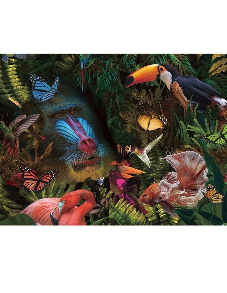 Cuadro fotografía Selvatica de Schuller