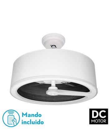 Tatiana Fabrilamp...