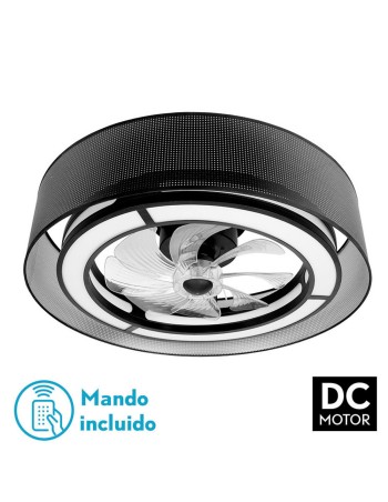 Anastasia Fabrilamp...