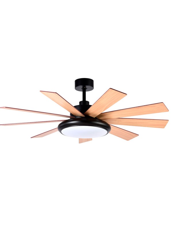 ventilador pireo negro