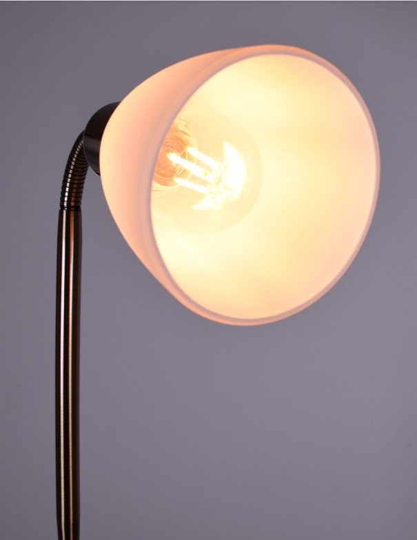 Lámpara de pie níquel con lector