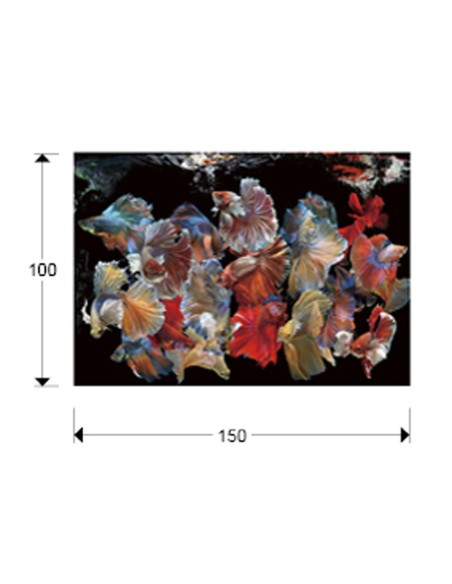 Fotografía de pared precio mínimo