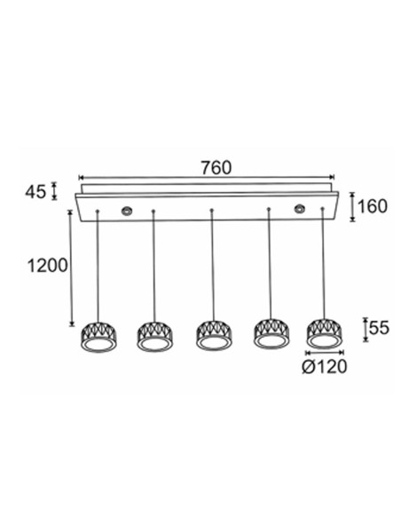 Luz de Techo con Tulipas