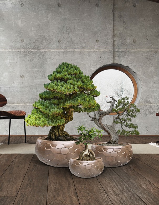 Maceteros Canela Schuller