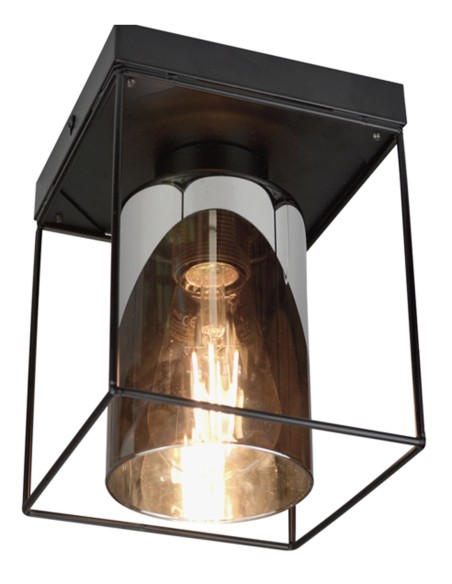 Jaula Plafón de Techo Negro Tulipa Cristal