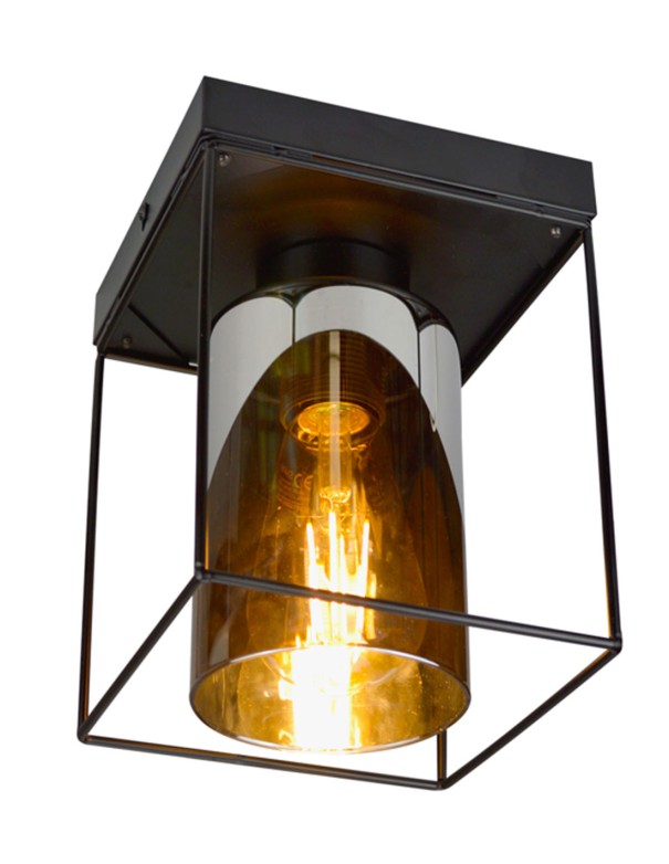 Jaula Plafón de Techo Negro Tulipa...