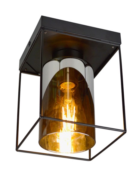 Jaula Plafón de Techo Negro Tulipa Cristal