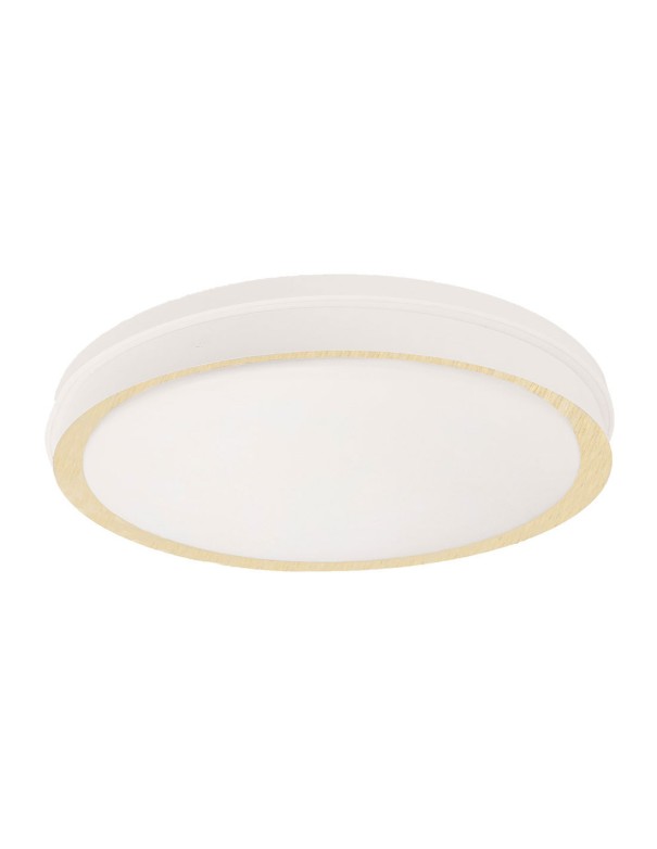 Plafón Led Blanco Haya Con Mando