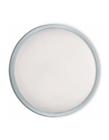 Plafón Plata de Exterior...