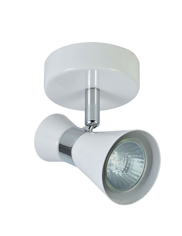Foco Orientable