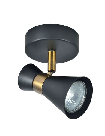 Foco Orientable y...