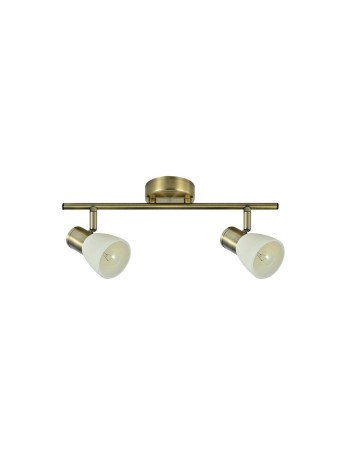 Regleta 2 Focos Orientable...