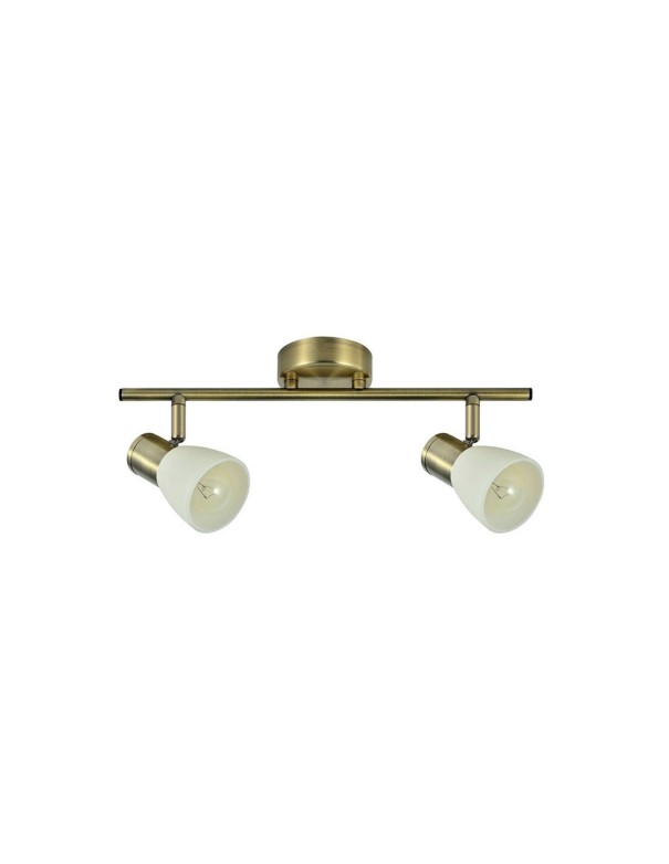 Regleta 2 Focos Orientable Metal Cuero con Cristal