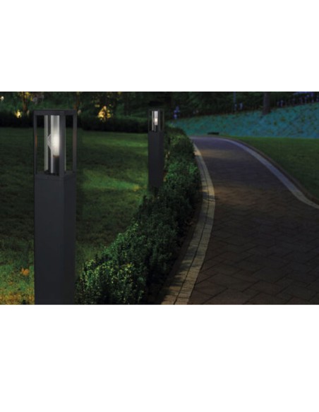 Nevada Sobremuro 80 CM Mantra