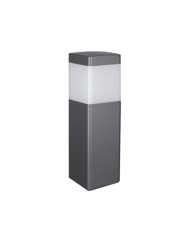 Sobremuro gris oscuro