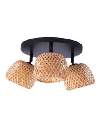 Plafones Rústicos con...