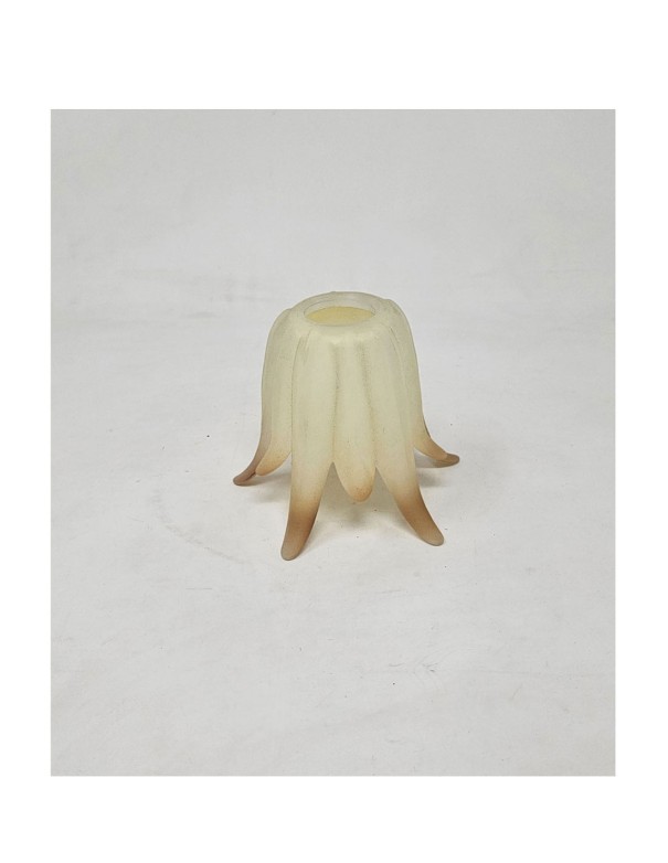 Tulipas Medusa de Cristal Beige