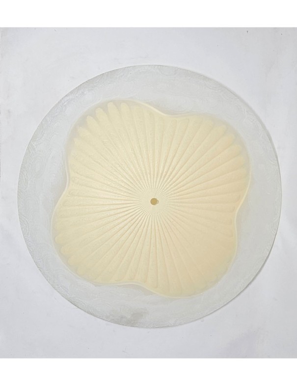 Plato de 50 Blanco Espiga