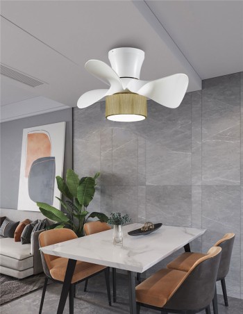 Ventilador de techo pequeño