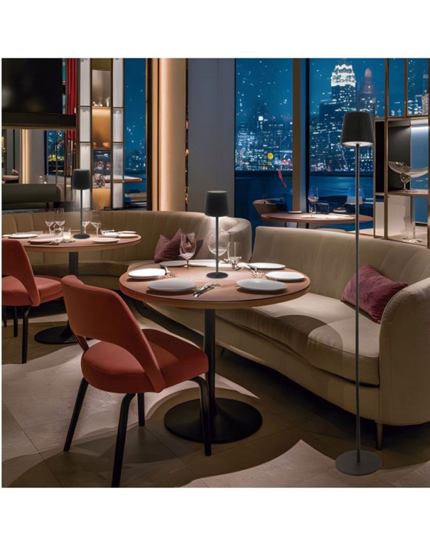 Sobremesa Convertible en Pie Bateria...