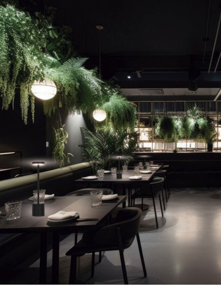 Lámpara Sobremesa Recargable Económico