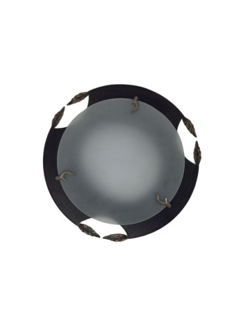 Plafones Económicos