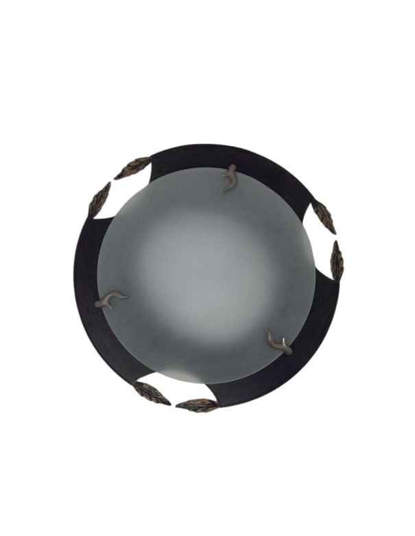 Plafones Económicos