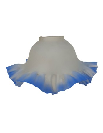 Tulipa Alcazaba Filo Azul