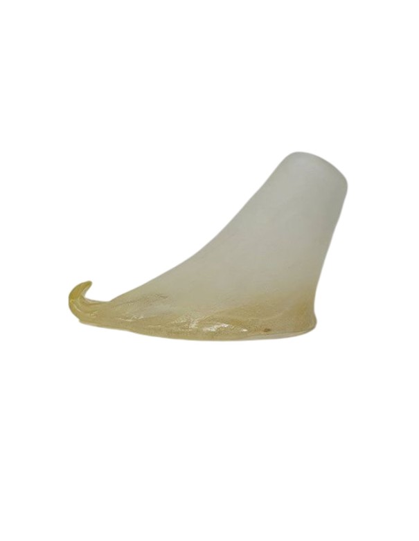 Colección Tulipas de Cristal