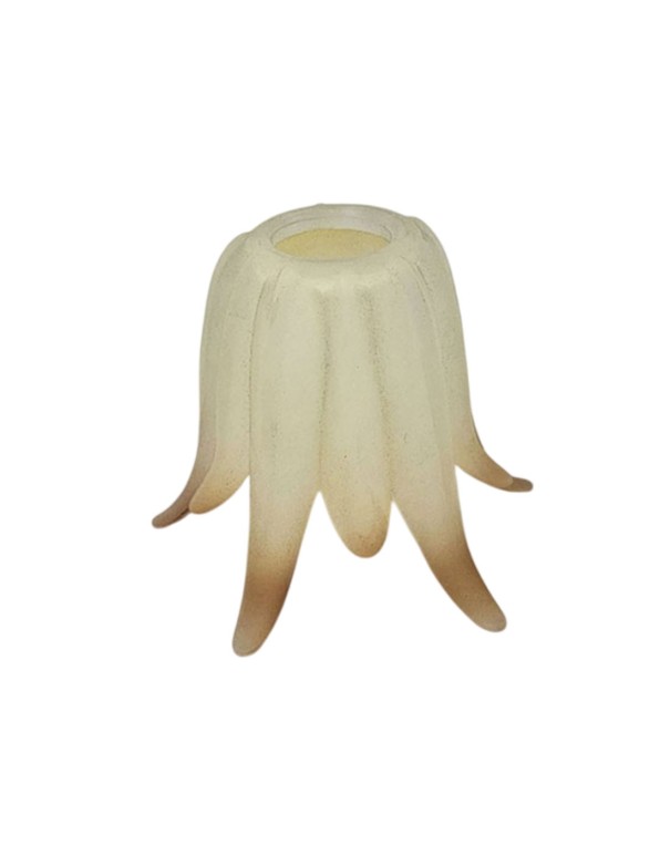 Tulipas Medusa de Cristal Beige