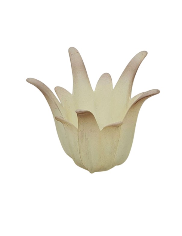 Tulipas Medusa de Cristal Beige